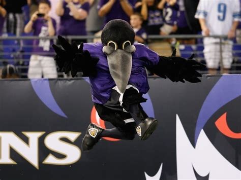 Ravens mascot injured